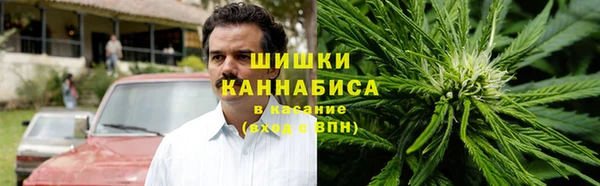ПСИЛОЦИБИНОВЫЕ ГРИБЫ Алзамай
