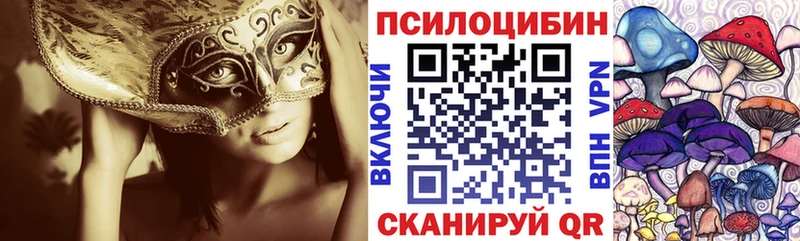 Галлюциногенные грибы Psilocybine cubensis  Любим 